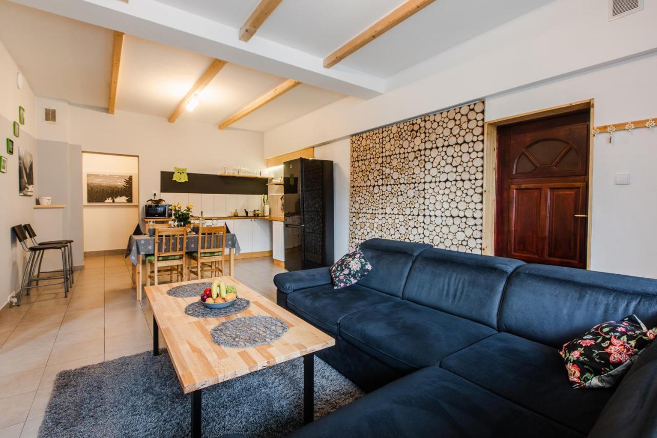 Apartament Grota Закопане Экстерьер фото