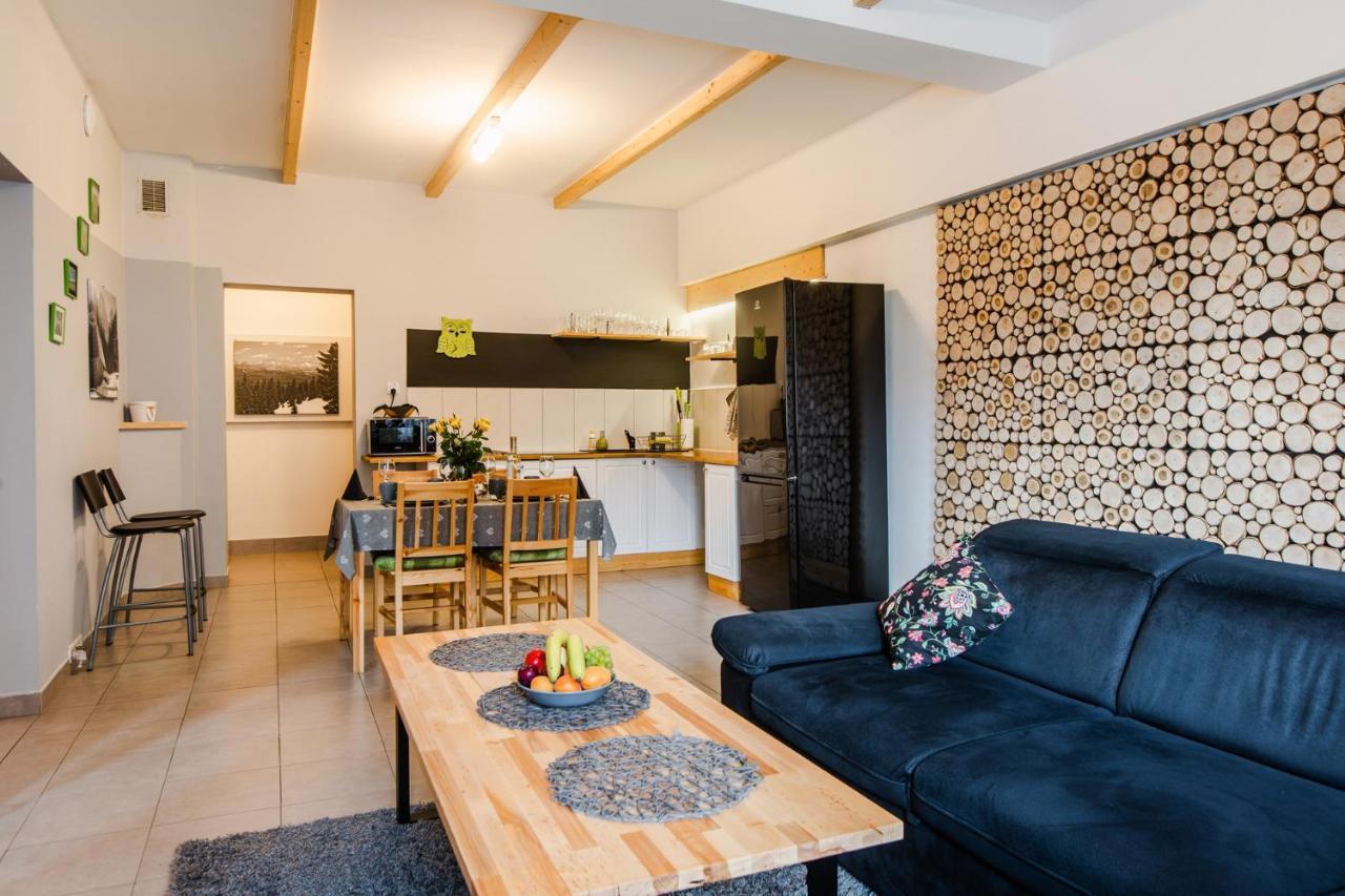 Apartament Grota Закопане Экстерьер фото